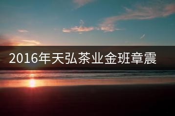 2016年天弘茶業(yè)金班章震撼上市！