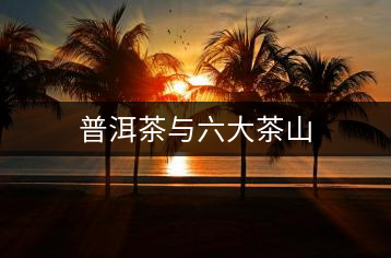 普洱茶與六大茶山