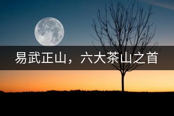 易武正山，六大茶山之首