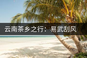 云南茶鄉(xiāng)之行：易武刮風寨