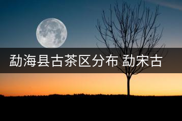 勐海縣古茶區(qū)分布 勐宋古茶山