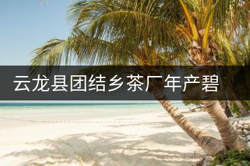 云龍縣團(tuán)結(jié)鄉(xiāng)茶廠(chǎng)年產(chǎn)碧螺春茶２５噸