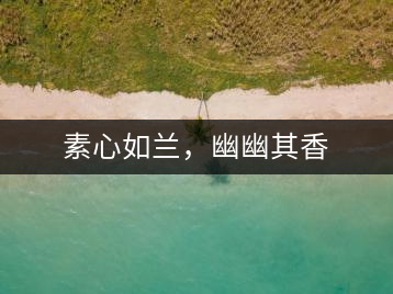 素心如蘭，幽幽其香