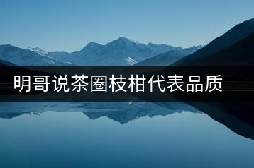 明哥說茶圈枝柑代表品質(zhì)高點(diǎn)，是玩家級(jí)的產(chǎn)品