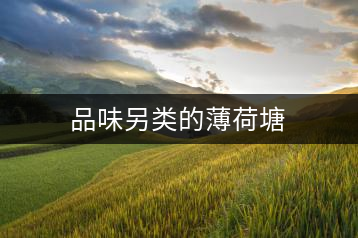 品味另類(lèi)的薄荷塘