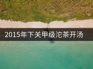 2015年下關(guān)甲級沱茶開湯品鑒