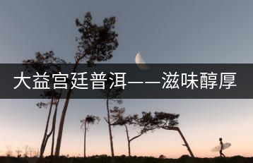 大益宮廷普洱——滋味醇厚，陳香濃郁