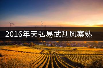 2016年天弘易武刮風(fēng)寨熟茶一泡耐人尋味！