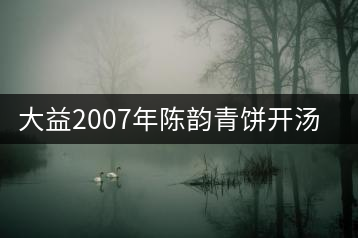 大益2007年陳韻青餅開(kāi)湯品飲