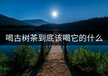 喝古樹茶到底該喝它的什么？