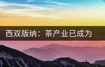 西雙版納:茶產(chǎn)業(yè)已成為茶區(qū)經(jīng)濟(jì)的重要支柱產(chǎn)業(yè)