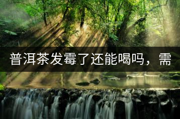 普洱茶發(fā)霉了還能喝嗎，需要怎么處理？