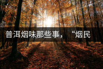 普洱煙味那些事，“煙民”不怕當(dāng)