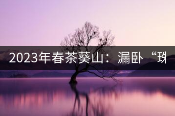2023年春茶葵山：漏臥“珠江紅：1200元-3200元（有3個檔次）漏臥“大廠茶”：古樹單株8600-9000元／公斤，中樹4800-5200元／公斤，小樹混采2600-2800元／公斤。