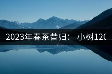 2023年春茶昔歸： 小樹1200-1600元／公斤，大樹4500-5200元／公斤，古樹7500-9000元／公斤.