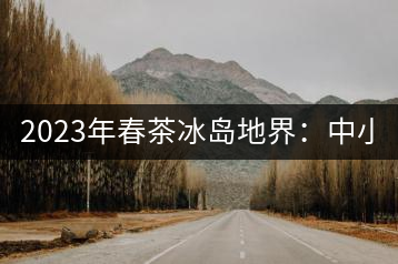 2023年春茶冰島地界：中小樹1300-1500元／公斤，古樹2200~2500元／公斤