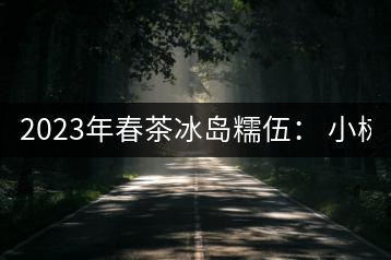 2023年春茶冰島糯伍： 小樹1300元／公斤，古樹：2100~2300元／公斤