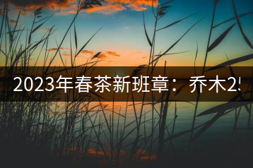 2023年春茶新班章：?jiǎn)棠?500-2800元／公斤 古樹：4500~6500元／公斤
