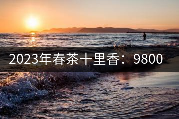 2023年春茶十里香：9800-12000元／公斤，十里香紅茶：9800-12000元／公斤