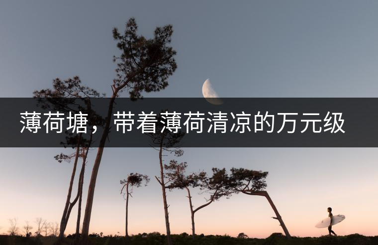 薄荷塘，帶著薄荷清涼的萬元級普洱