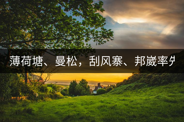 薄荷塘、曼松，刮風(fēng)寨、邦崴率先開(kāi)采，2019普洱春季大戰(zhàn)開(kāi)始了
