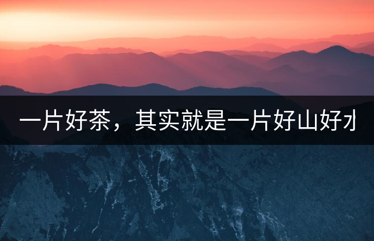 一片好茶，其實就是一片好山好水...一片好茶，其實就是一片好山好水...