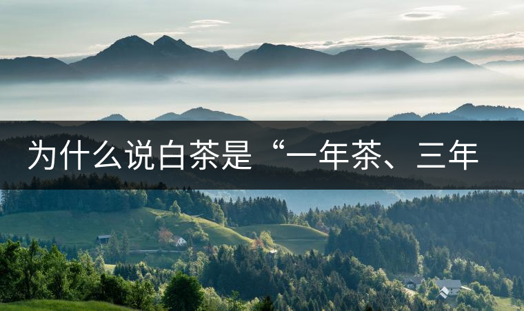 為什么說(shuō)白茶是“一年茶、三年藥、七年寶”?為什么說(shuō)白茶是“一年茶、三年藥、七年寶”？