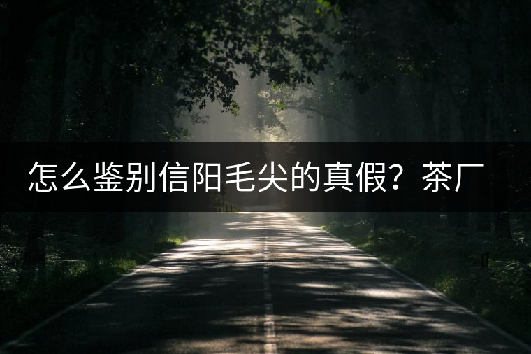 怎么鑒別信陽(yáng)毛尖的真假？茶廠小姐姐親自告訴你茶葉的等級(jí)