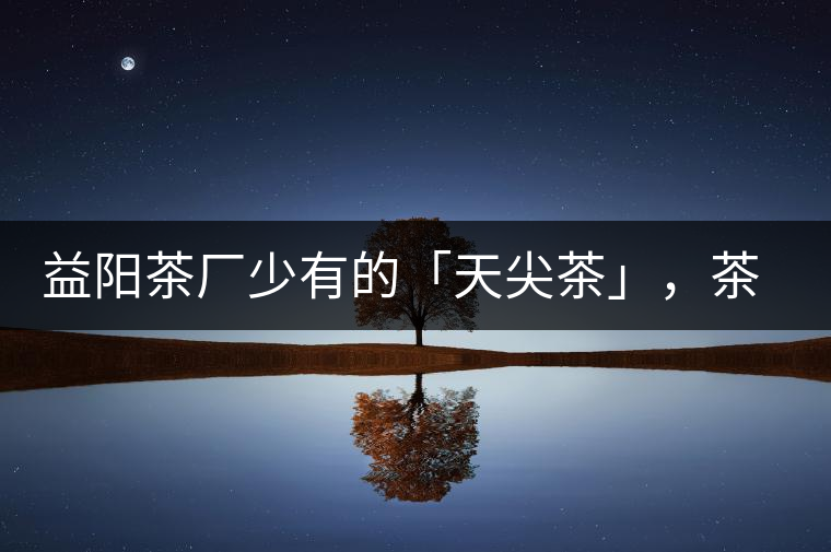 益陽茶廠少有的「天尖茶」，茶品升級(jí)，收藏趁早！