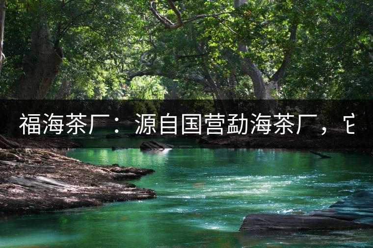 福海茶廠：源自國(guó)營(yíng)勐海茶廠，它是99易武綠星星之母