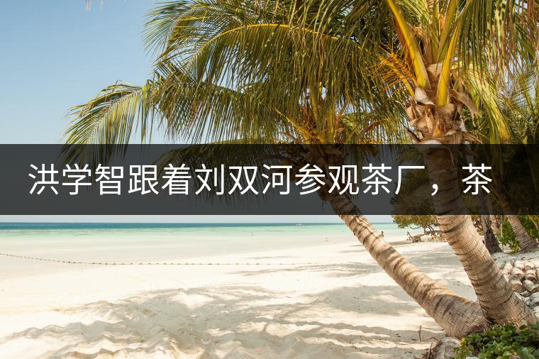 洪學智跟著劉雙河參觀茶廠，茶廠黃老板對賣苦力的百姓百般欺凌