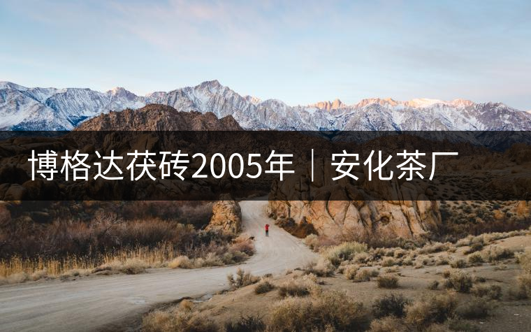 博格達茯磚2005年｜安化茶廠定制款，金花滿披，梅山韻濃！