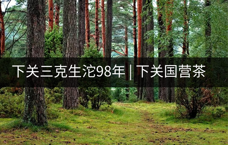 下關(guān)三克生沱98年 | 下關(guān)國(guó)營(yíng)茶廠出口料，干倉(cāng)儲(chǔ)存，...下關(guān)三克生沱98年 | 下關(guān)國(guó)營(yíng)茶廠出口料，干倉(cāng)儲(chǔ)存，19年老茶！
