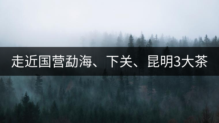 走近國營勐海、下關(guān)、昆明3大茶廠，傳世代表作的發(fā)展詳...走近國營勐海、下關(guān)、昆明3大茶廠，傳世代表作的發(fā)展詳解