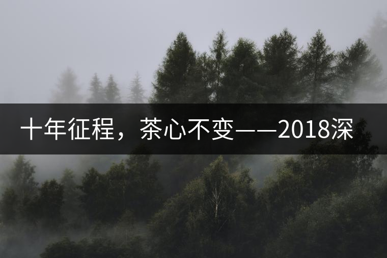 十年征程，茶心不變——2018深圳秋季茶博會12月13日隆重開幕！