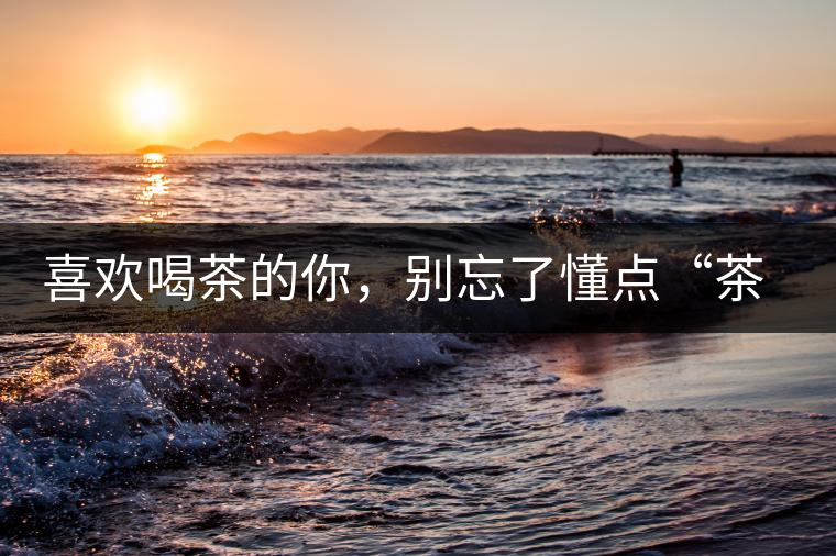 喜歡喝茶的你，別忘了懂點“茶歷史”喜歡喝茶的你，別忘了懂點“茶歷史”
