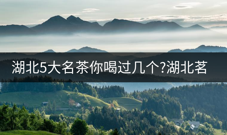 湖北5大名茶你喝過幾個?湖北茗茶的歷史故事?湖北茶哪...湖北5大名茶你喝過幾個？湖北茗茶的歷史故事？湖北茶哪個產(chǎn)地好