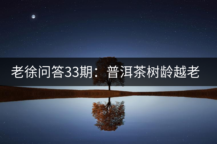 老徐問(wèn)答33期：普洱茶樹(shù)齡越老越貴，那100年樹(shù)齡的老班章呢？