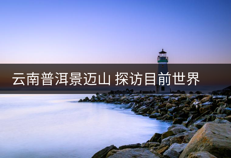 云南普洱景邁山 探訪目前世界上面積最大、年代最久遠(yuǎn)的古茶園