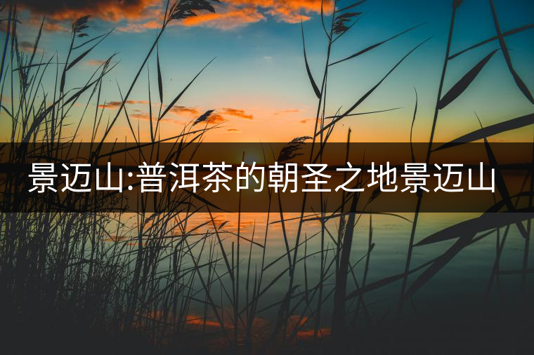 景邁山:普洱茶的朝圣之地景邁山:普洱茶的朝圣之地 景邁山:普洱茶的朝圣之地景邁山:普洱茶的朝圣之地