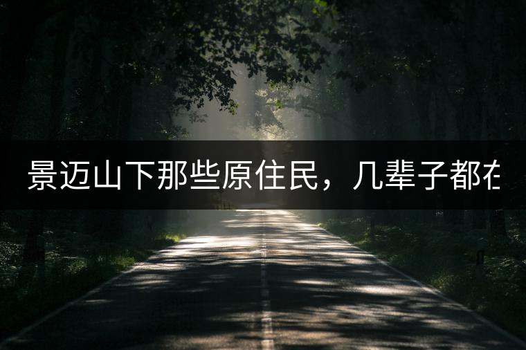 景邁山下那些原住民，幾輩子都在采茶、制茶，才有最...景邁山下那些原住民，幾輩子都在采茶、制茶，才有最好喝的普洱