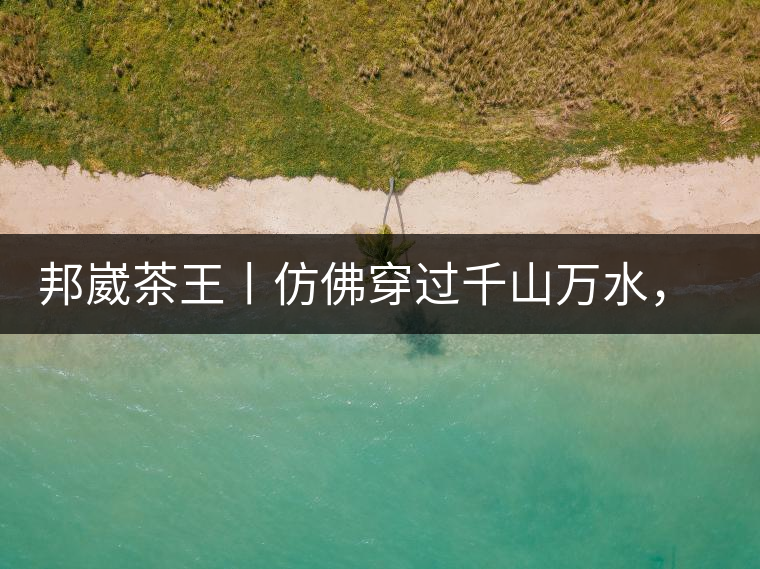 邦崴茶王丨仿佛穿過(guò)千山萬(wàn)水，就是為了它而來(lái)邦崴茶王丨仿佛穿過(guò)千山萬(wàn)水，就是為了它而來(lái)