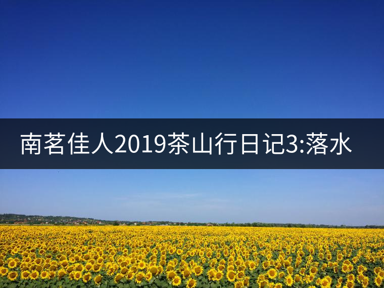 南茗佳人2019茶山行日記3:落水洞--200多年建村歷史，...南茗佳人2019茶山行日記3：落水洞——200多年建村歷史，靈動清越