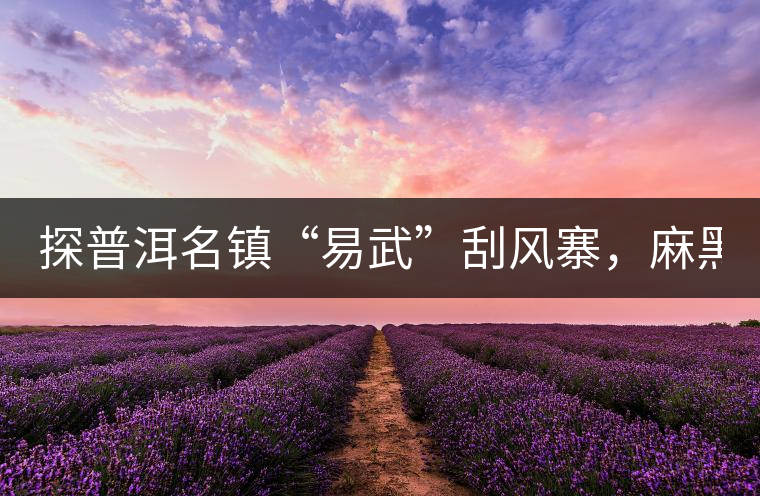 探普洱名鎮(zhèn)“易武”刮風(fēng)寨，麻黑，落水洞!小編親自下...探普洱名鎮(zhèn)“易武”刮風(fēng)寨，麻黑，落水洞！小編親自下手“殺青”