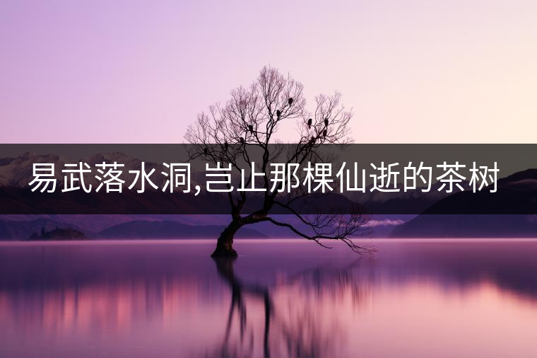 易武落水洞,豈止那棵仙逝的茶樹王?易武落水洞,豈止那棵仙逝的茶樹王？