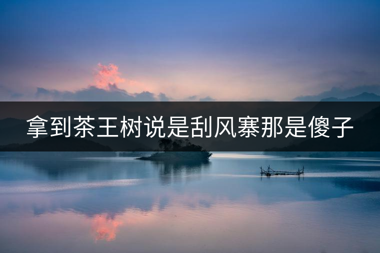 拿到茶王樹(shù)說(shuō)是刮風(fēng)寨那是傻子 拿到茶王樹(shù)說(shuō)是刮風(fēng)寨那是傻子