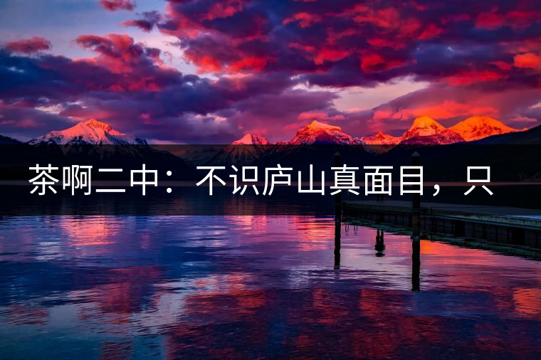 茶啊二中：不識(shí)廬山真面目，只識(shí)彎弓射大雕，賈淳真搞笑