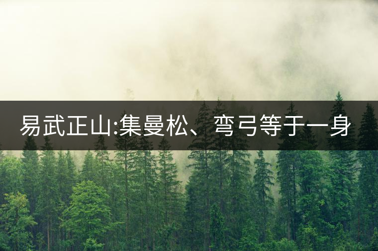易武正山:集曼松、彎弓等于一身的貴族老黃片，好喝沒得...易武正山：集曼松、彎弓等于一身的貴族老黃片，好喝沒得說