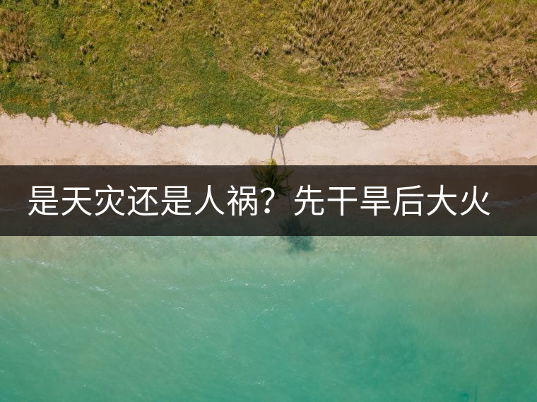 是天災(zāi)還是人禍？先干旱后大火，普洱茶將何去何從？