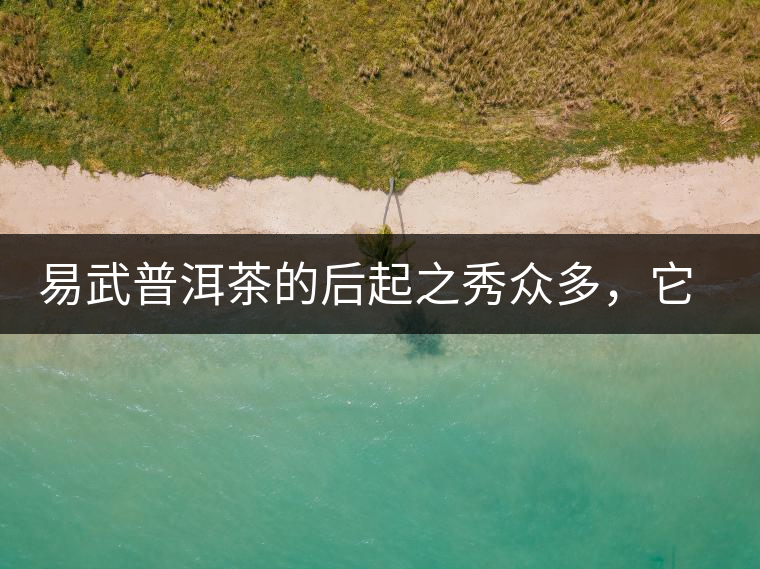 易武普洱茶的后起之秀眾多，它是還沒(méi)漲價(jià)的一個(gè)！